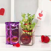Plant With Chocolate Combo and I Love Tag