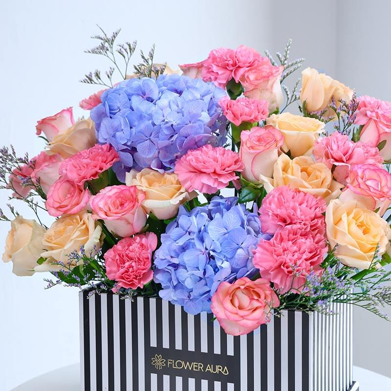 Dreamy Dew Kissed Petals