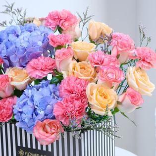 Dreamy Dew Kissed Petals