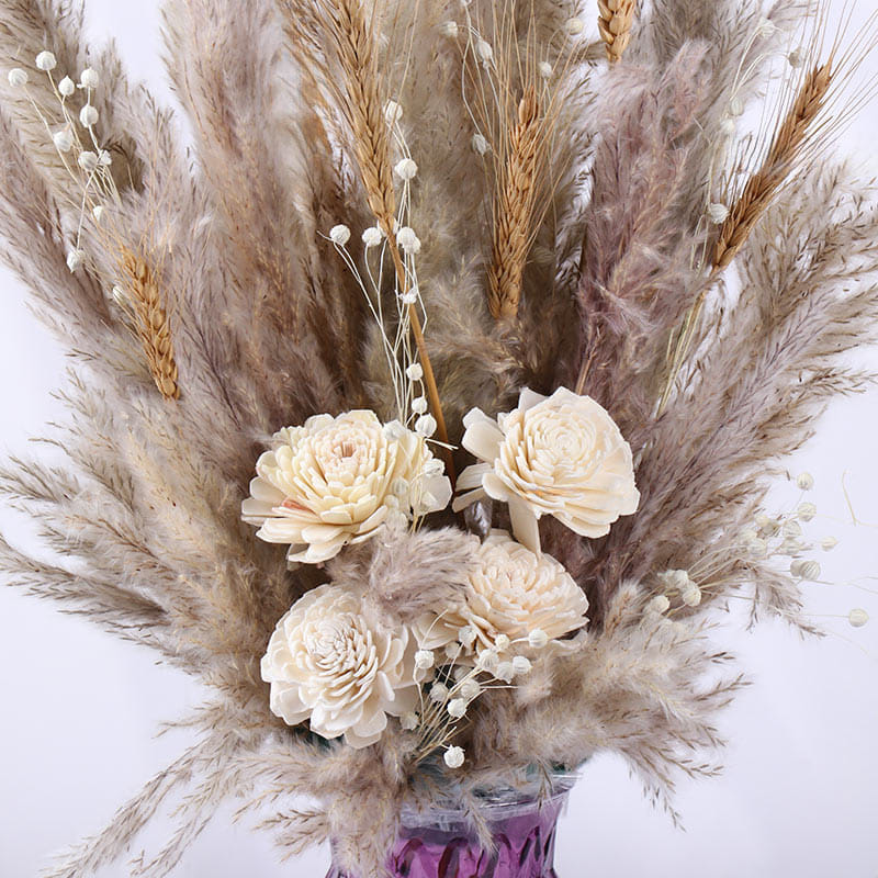 Dried Ivory Petals In Soft Prairie Bloom