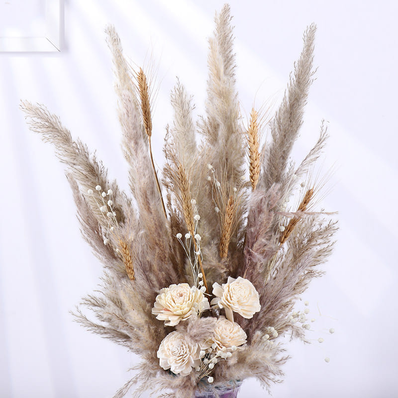 Dried Ivory Petals In Soft Prairie Bloom