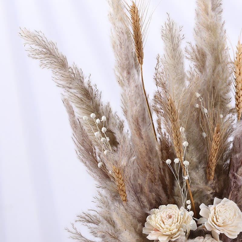 Dried Ivory Petals In Soft Prairie Bloom