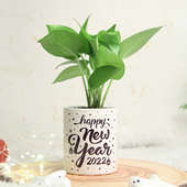 Happy New Year Money Plant Gift