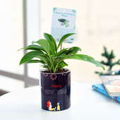 Dwarfy Air Purifier - Air Purifying Plant Indoors in Mug Printed Vase