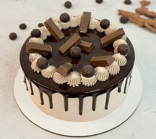 Eggless Chocolate Truffle Delight