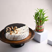 Eggless Choco Vanilla Cake N Layered Bamboo