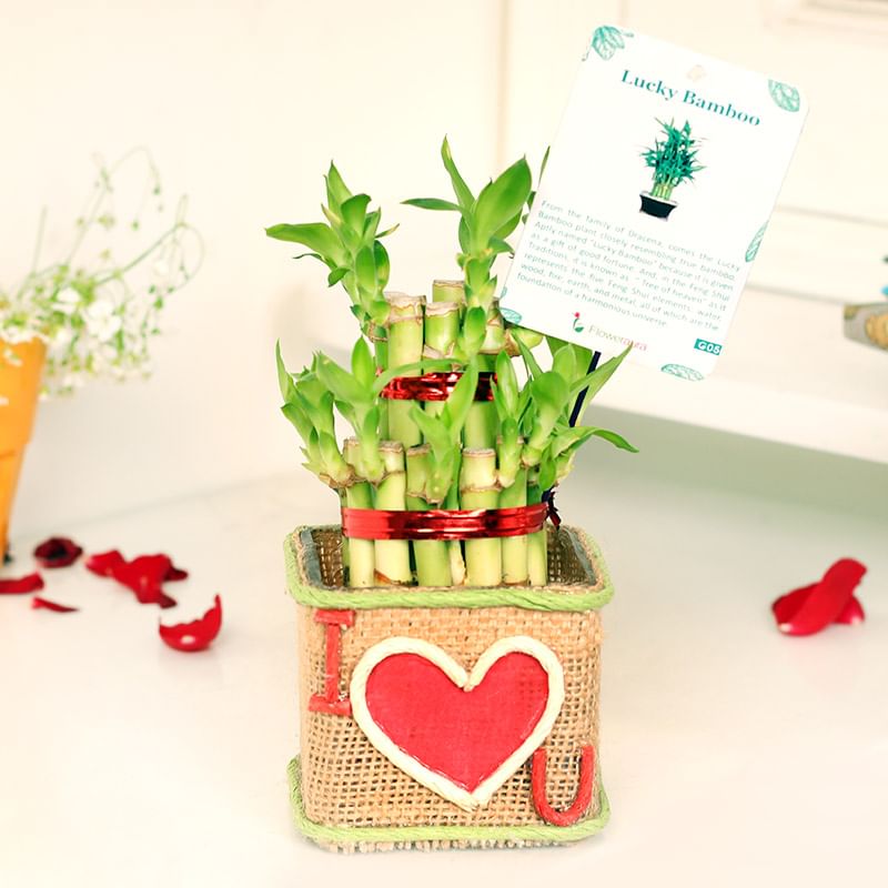 Two Layer Bamboo in Jute Packing with I Love You Pasted in it