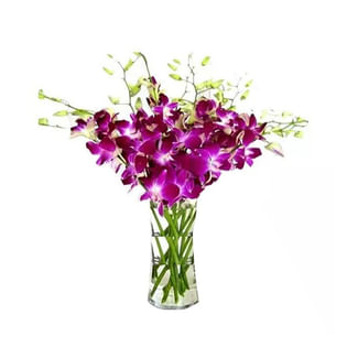 Elegant Orchid Delight Arrangement