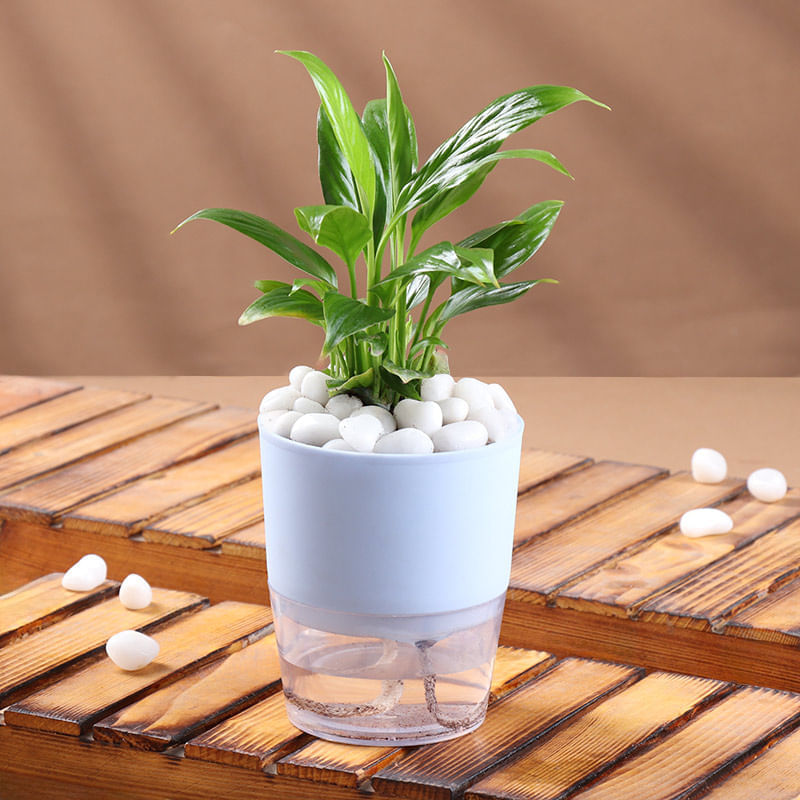 Product Image Video