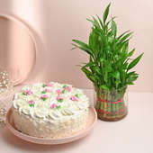 Elegant White Forest Cake N Lucky Bamboo Combo