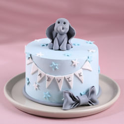 Elephant Delight Birthday Cake