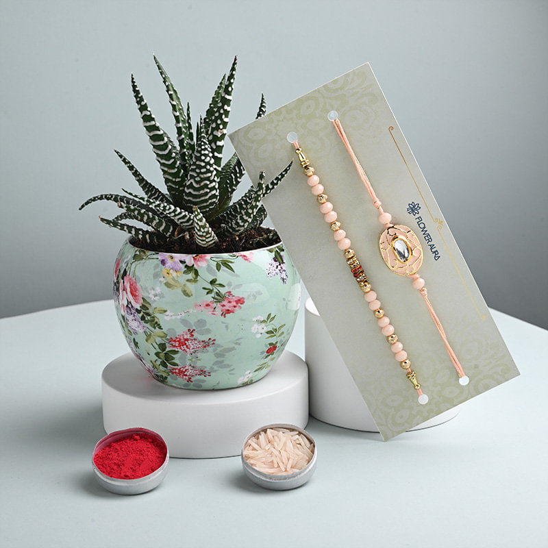 Embellished Peach Rakhi Duo With Haworthia Plant
