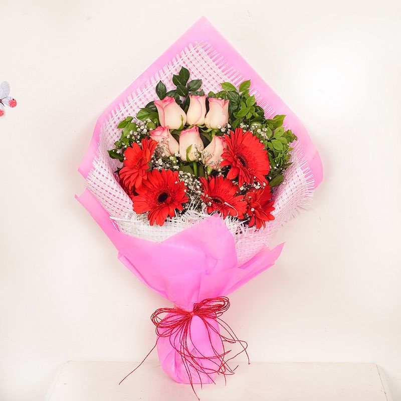 Enchanting Red and White Roses