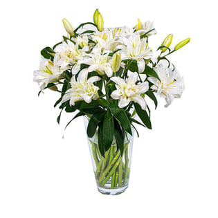 Enchanting Aromatic Lily Ensemble