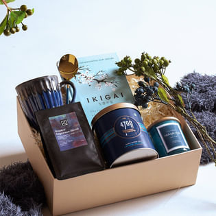 Enchanting Midnight Collection