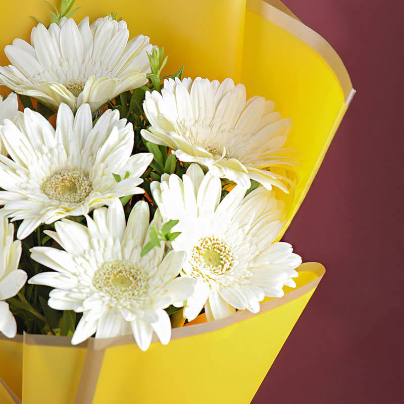 10 White Gerberas In Yellow Premium Paper