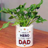 Green Xanadu Plant in White Vase for Dad