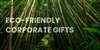 10 Amazing Environment Friendly Corporate Gift Ideas