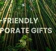 10 Amazing Environment Friendly Corporate Gift Ideas