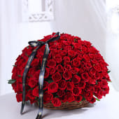 Essence Of Love In Red Roses
