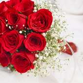 15 Red Roses