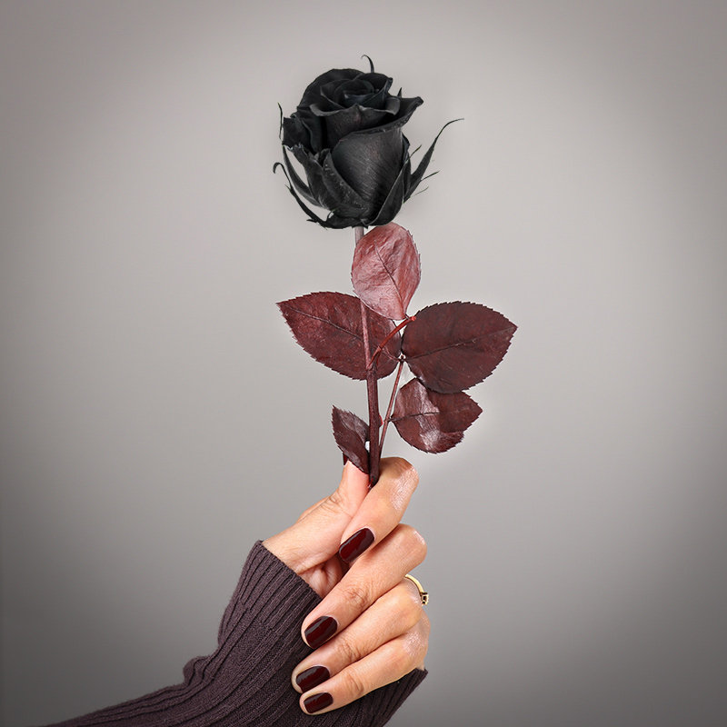 Real Preserved Black Rose That Lasts Over One Year