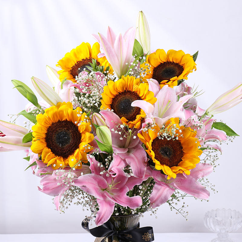 Product Image Video