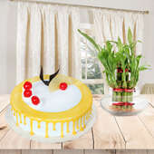 Everlasting Sweetness Combo - Pineapple cake with lucky bamboo plant