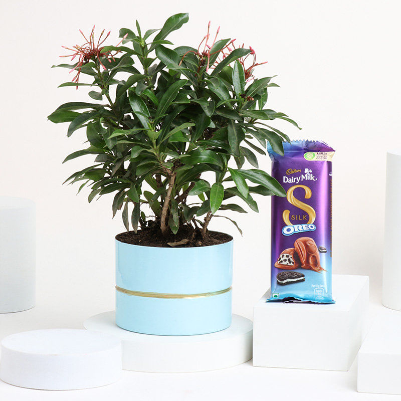 Product Image Video