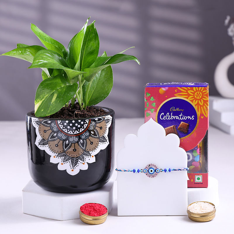 Product Image Video