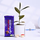 Evil Eye Rakhi With Plant N Chocolate