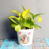 Money Plant in a Personalised Vase - A Plant Gift For Mother