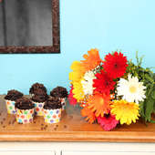Exotic Vibrance Combo - Bunch of 12 Mixed Gerberas with 6 Choco Chip Cup Cakes