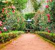 Exploring the World's Most Beautiful and Romantic Gardens