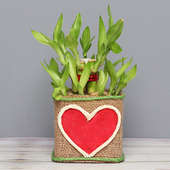 Two Layer Bamboo in Jute Packing with Printed Heart