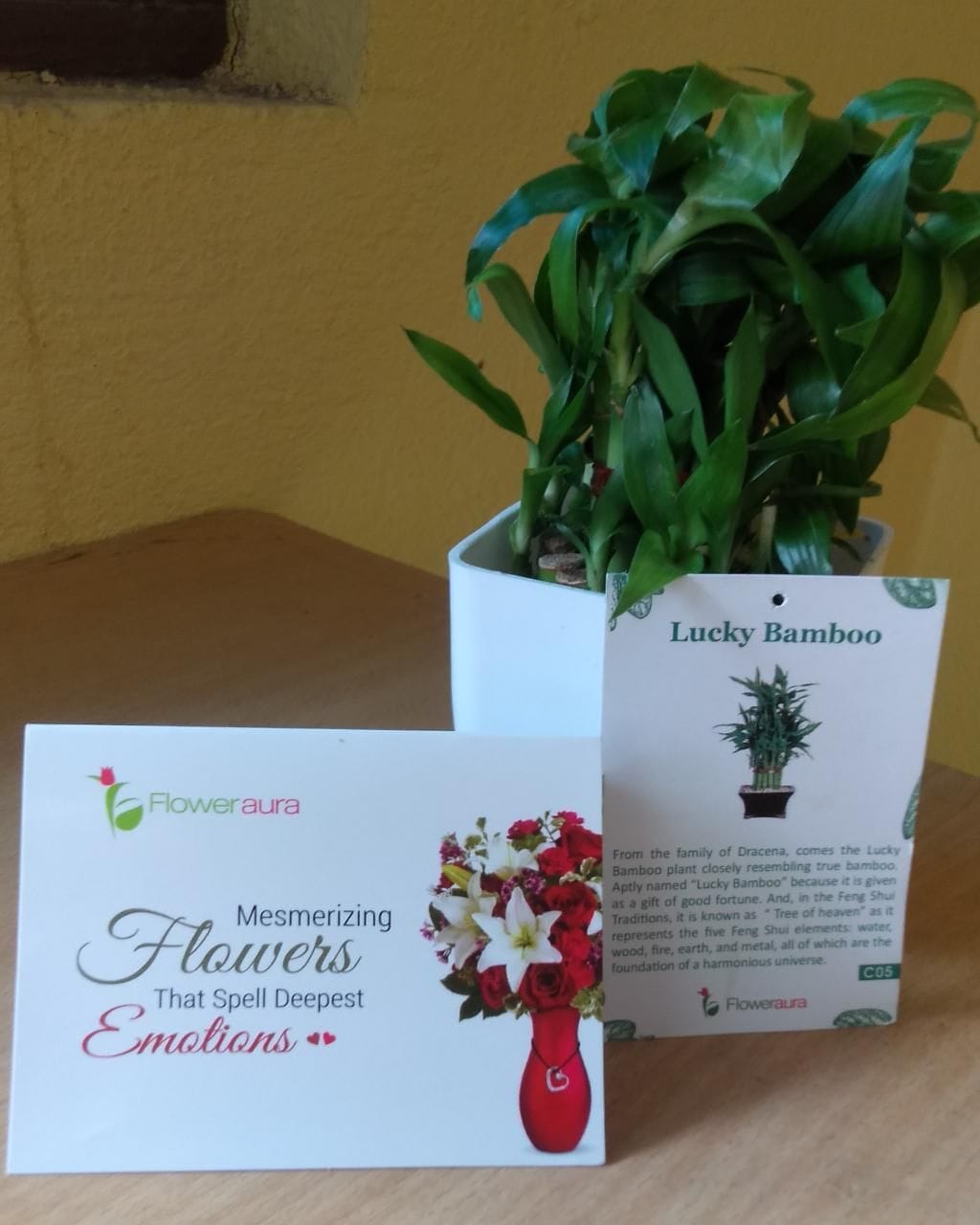 https://imgcdn.floweraura.com/fa/review_image/1623699564.4062.jpeg