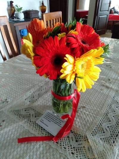 Mixed color Gerberas