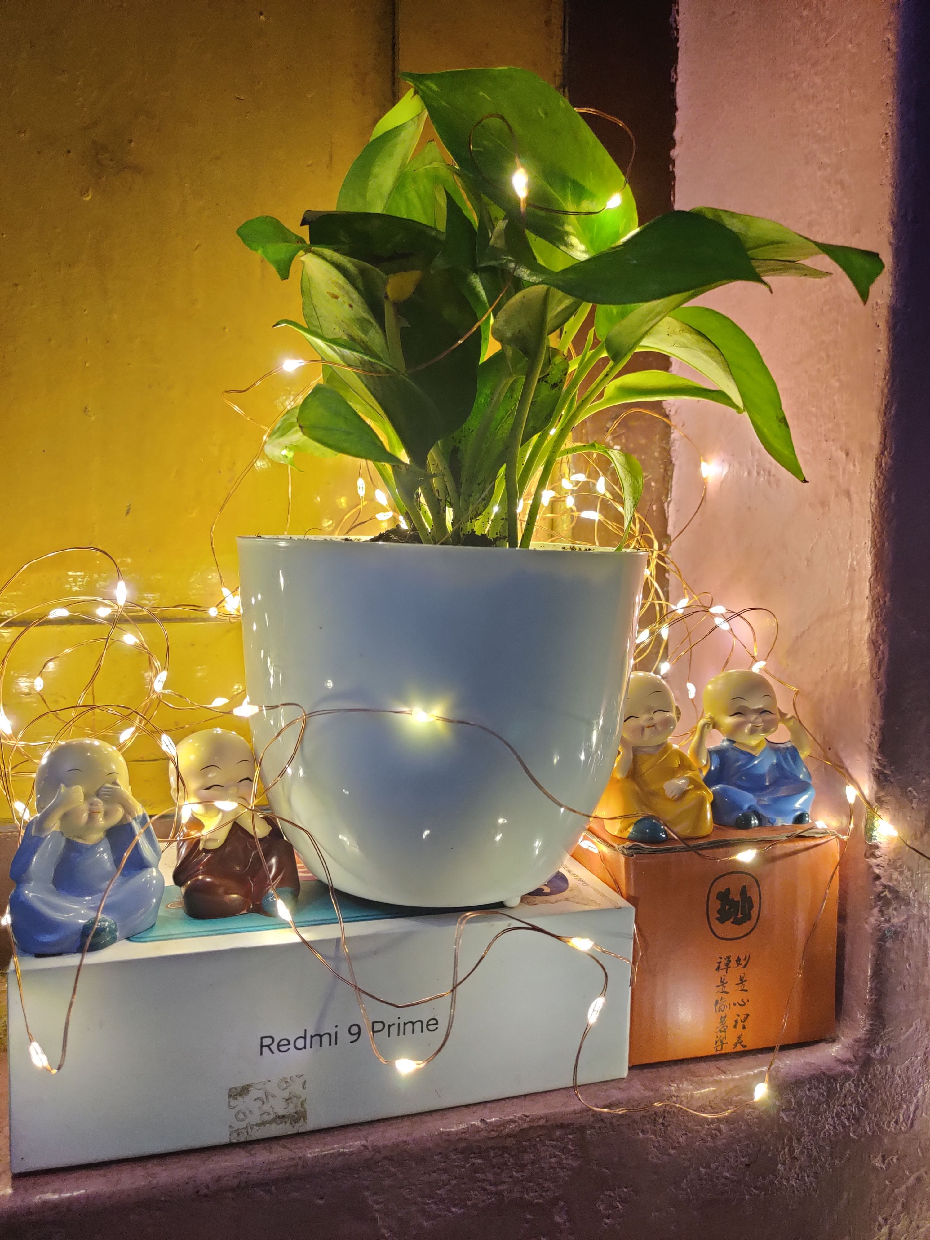 https://imgcdn.floweraura.com/fa/review_image/1630844517.027.jpeg