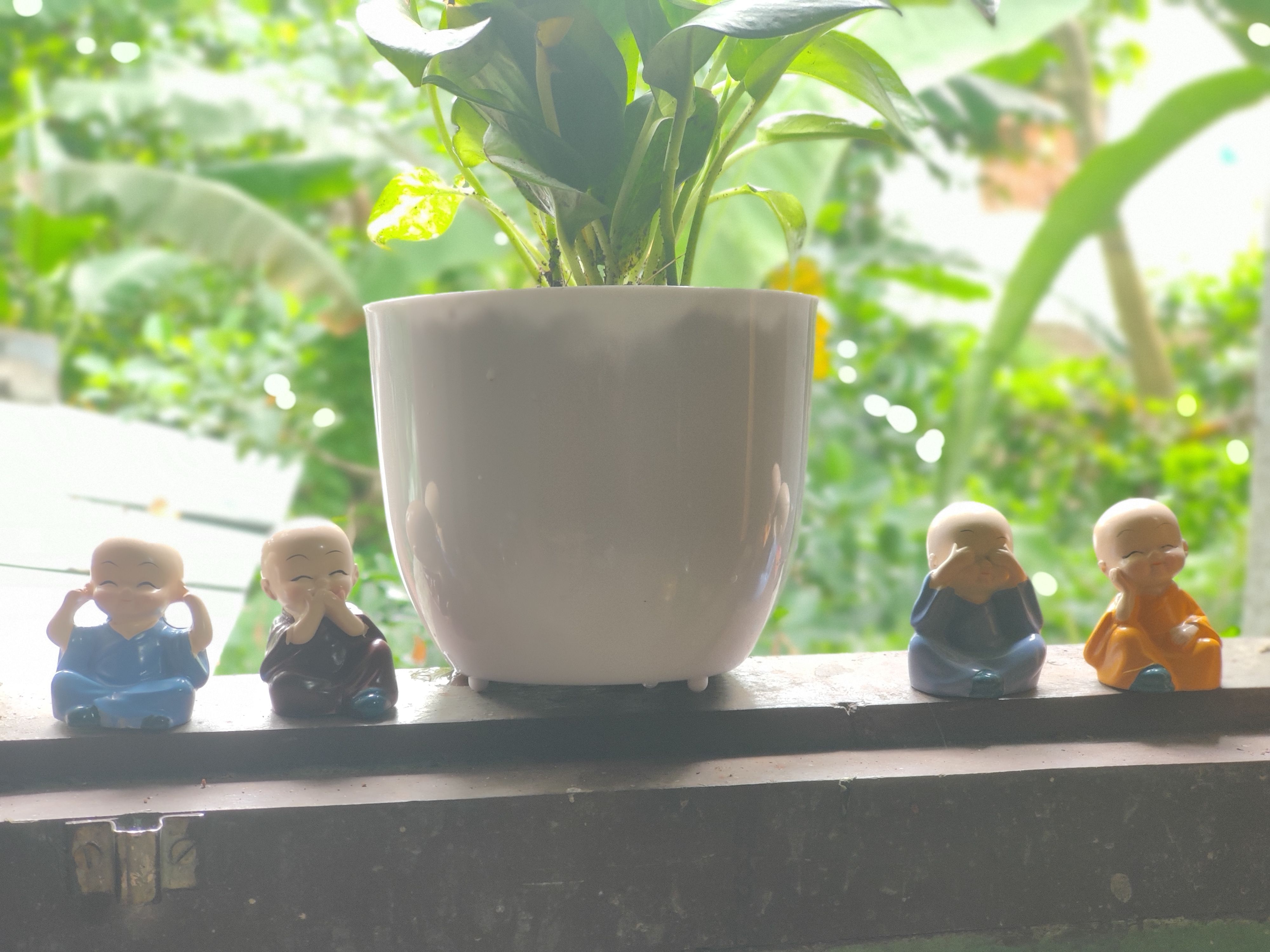 https://imgcdn.floweraura.com/fa/review_image/1630844523.282.jpeg