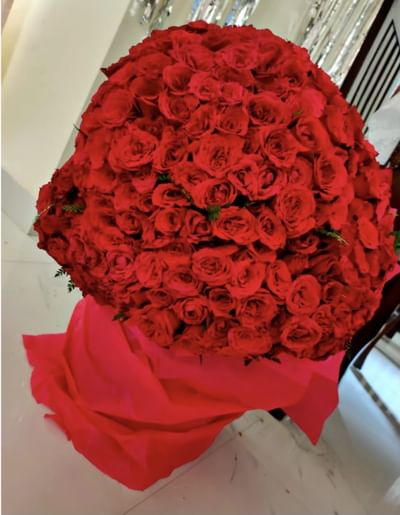 500 Love Roses