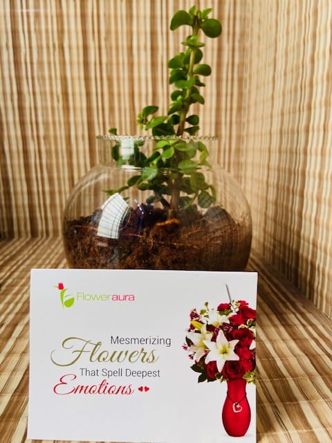 https://imgcdn.floweraura.com/fa/review_image/1633671437.2485.jpeg