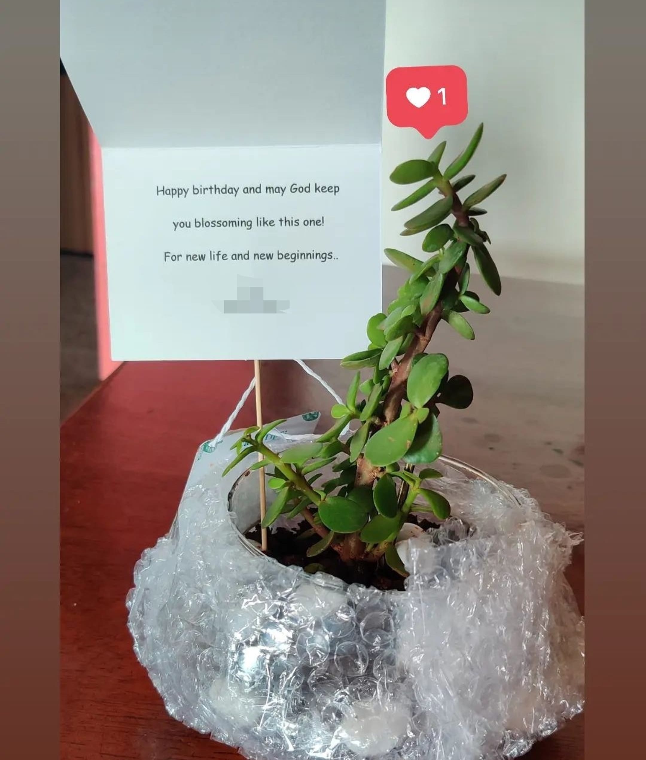 https://imgcdn.floweraura.com/fa/review_image/1633688033.402.jpeg