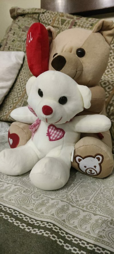 Teddy Red Rose Combo