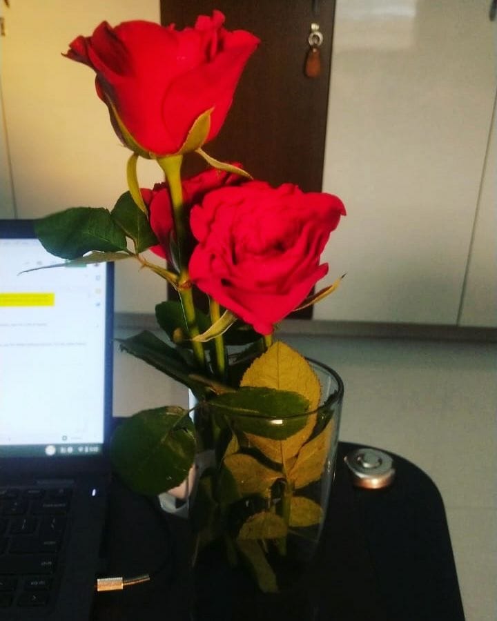 https://imgcdn.floweraura.com/fa/review_image/1635747279.0948.jpeg