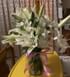 Lilies Love Bouquet