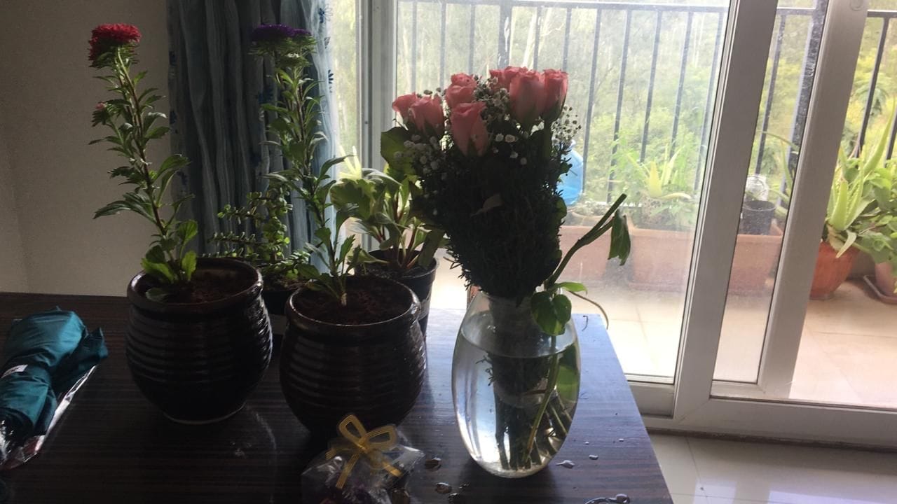 https://imgcdn.floweraura.com/fa/review_image/1636958698.4298.jpeg