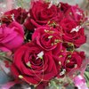 Paradise Mixed Roses Bouquet