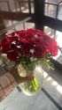 Kiss Red Rose Vase