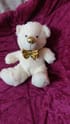 Large Teddy Bear (12")