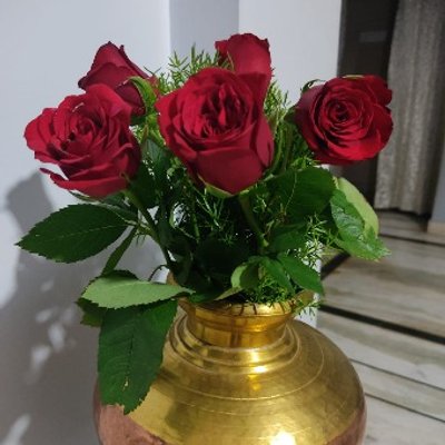 6 Red Roses Bunch